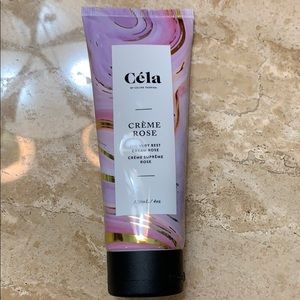 CELA Creme Rose The Very Best Cream Rose